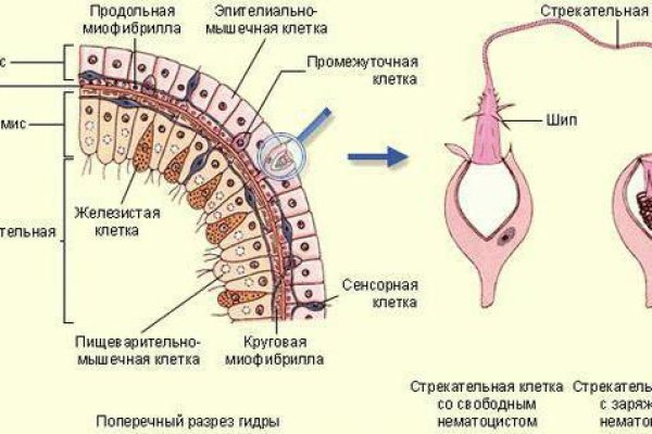 Kraken актуальный сайт