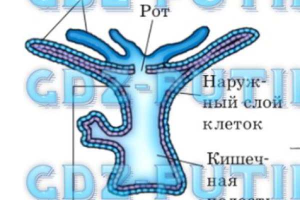 Где купить наркоты