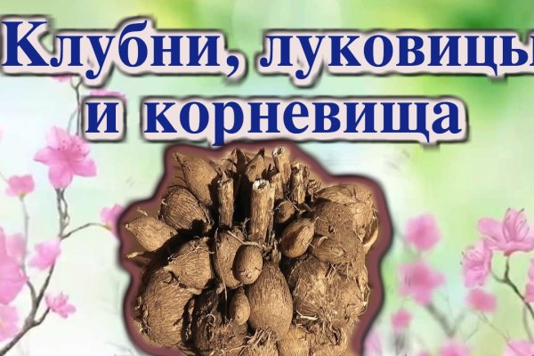 Действующие ссылки на кракен