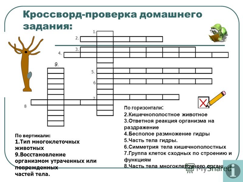 Спрут мега кракен